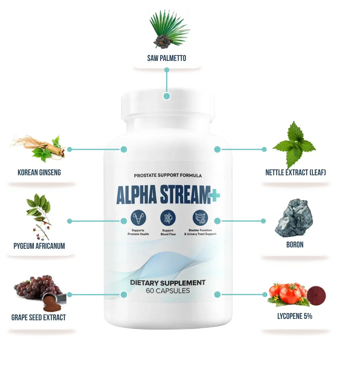 alpha stream plus working